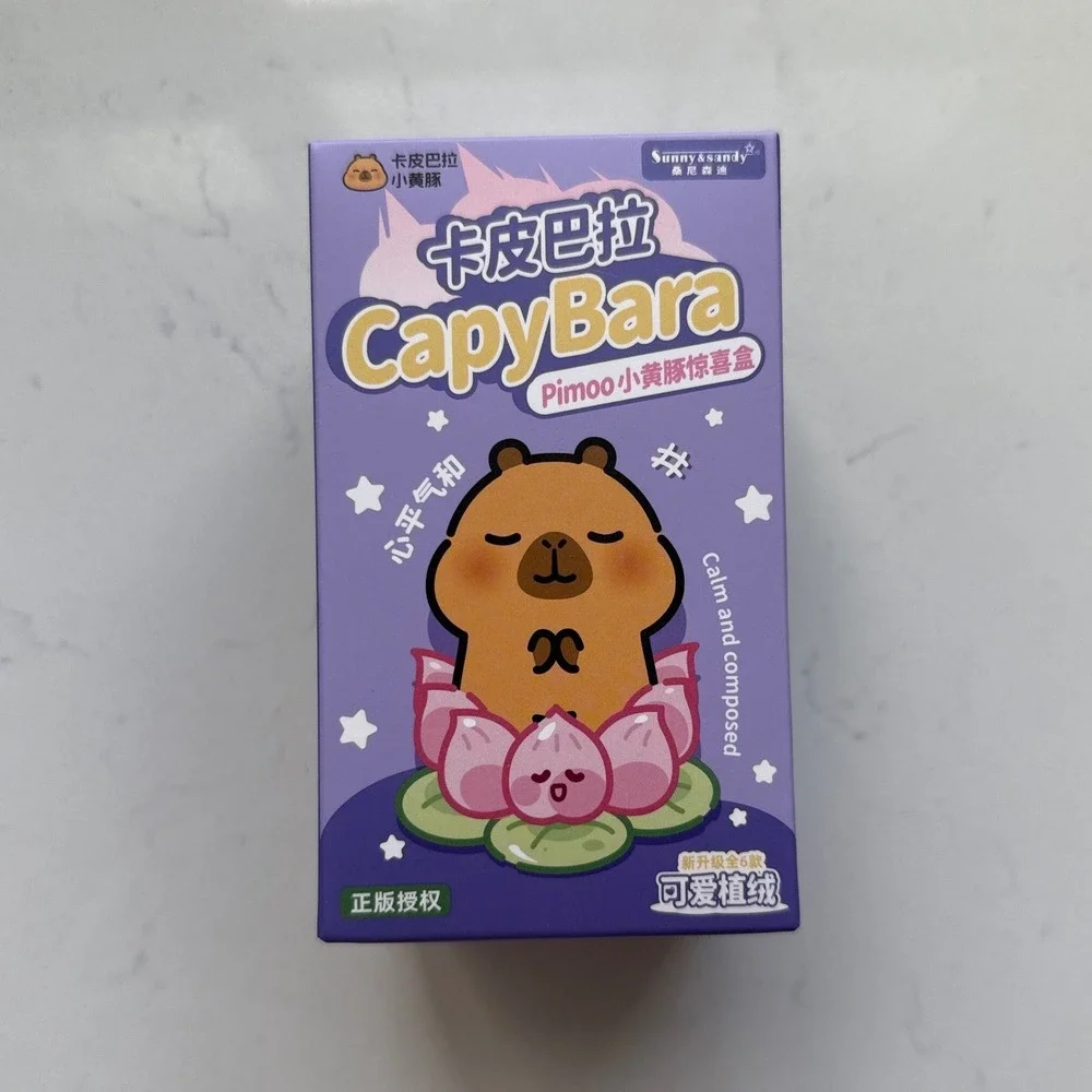 Sunny & Sandy CapyBara PIMOO Blind Box Sealed Collectible Figure 1 Random Toy